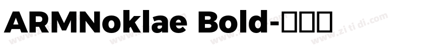 ARMNoklae Bold字体转换 ARMNoklae Bold字体转换